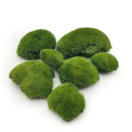mech-poduszkowy-ciemnozielony-naturalny-premium-100g-szwecja