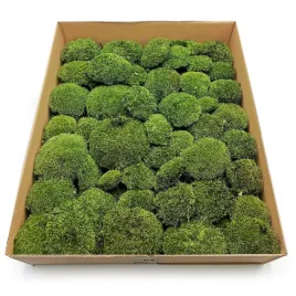 2-kg-mech-poduszkowy-ciemny-zielony-premium