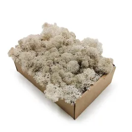 50g-mech-chrobotek-reniferowy-bialy-norweski