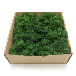 mech-chrobotek-alpejski-premium-500g-netto