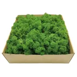 mech-chrobotek-alpejski-500g-szerokosc-produktu-25-cm