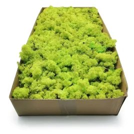 mech-chrobotek-norweski-500g