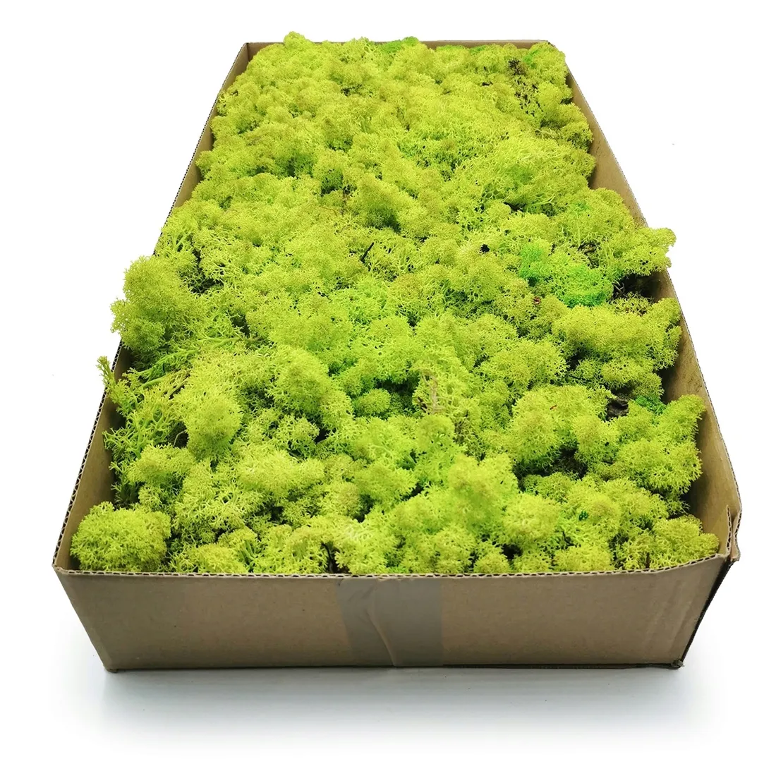 mech-chrobotek-norweski-500g-stan-nowy