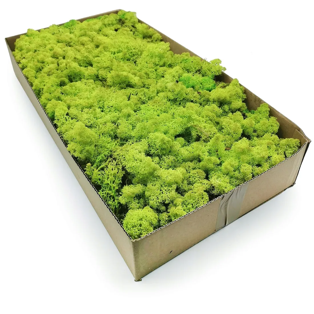 mech-chrobotek-norweski-500g-stan-nowy