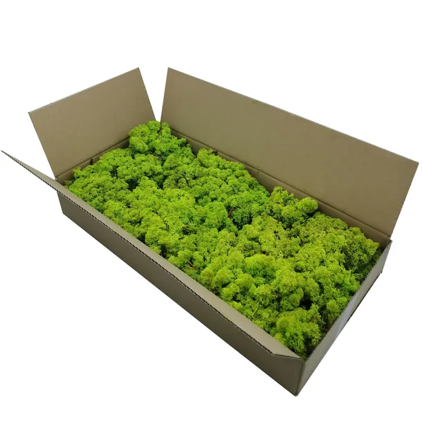 mech-chrobotek-norweski-500g-marka-bez-marki