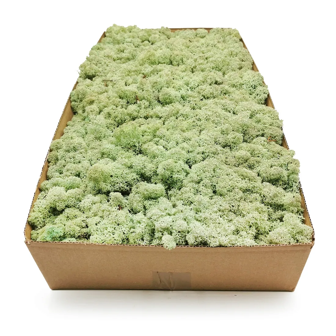 mech-chrobotek-norweski-500g-stan-nowy