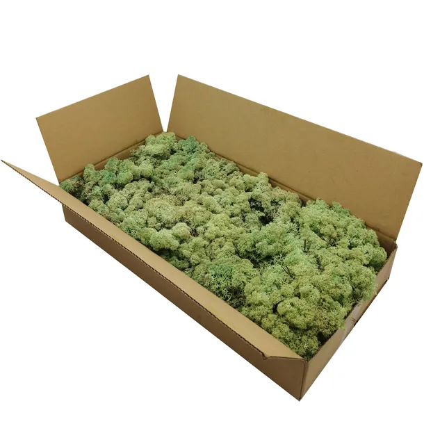 mech-chrobotek-norweski-500g-marka-bez-marki