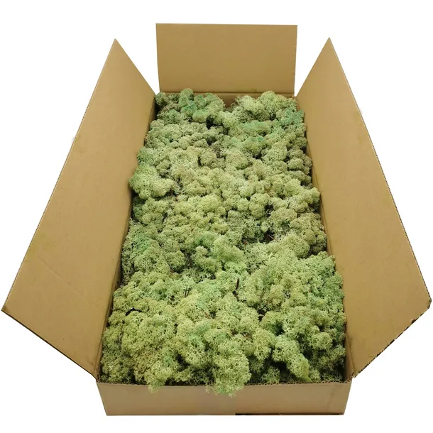 mech-chrobotek-norweski-500g-kolor-zielony