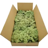 mech-chrobotek-norweski-500g-kolor-zielony