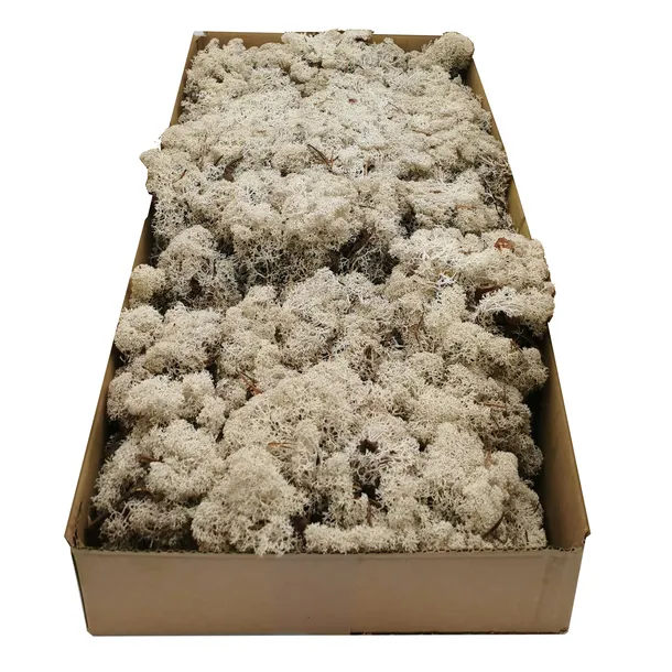 mech-chrobotek-norweski-500g-kod-producenta-chrobotek-nor-bialy-500g-brutto