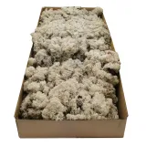 mech-chrobotek-norweski-500g-kod-producenta-chrobotek-nor-bialy-500g-brutto