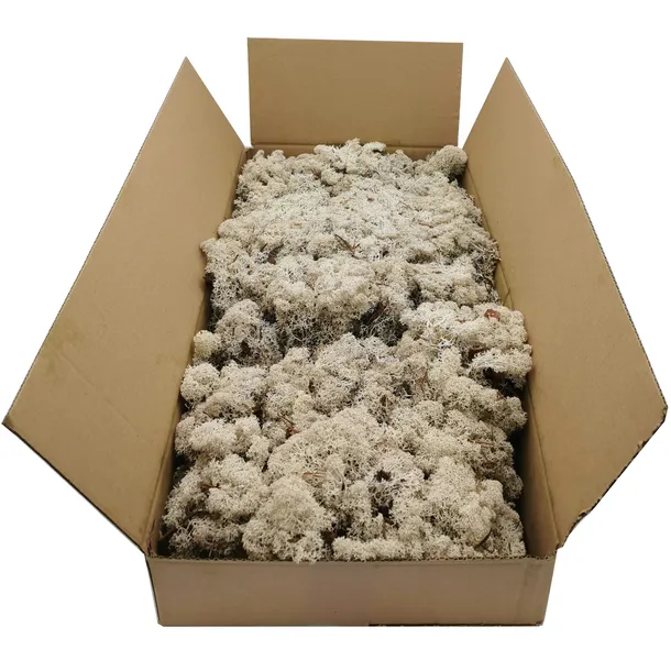 mech-chrobotek-norweski-500g-marka-bez-marki