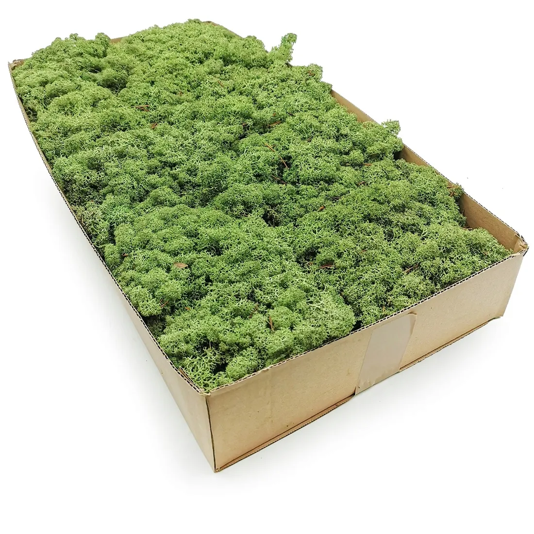 mech-chrobotek-norweski-500g-stan-nowy