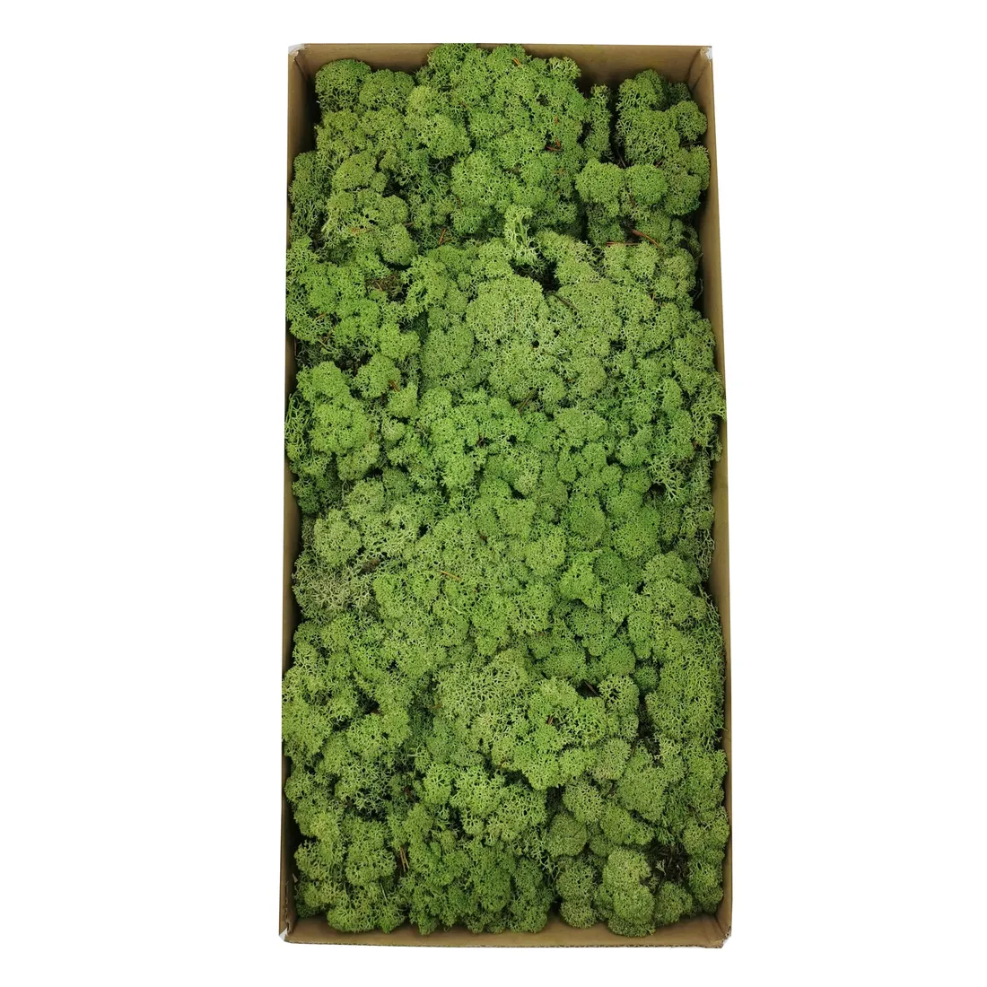 mech-chrobotek-norweski-500g