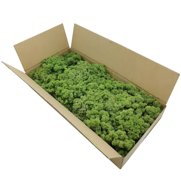 mech-chrobotek-norweski-500g-marka-bez-marki