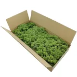 mech-chrobotek-norweski-500g-marka-bez-marki