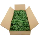 mech-chrobotek-norweski-500g-stan-nowy-szerokosc-produktu-25-cm