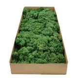 mech-chrobotek-norweski-500g-stan-nowy-marka-bez-marki
