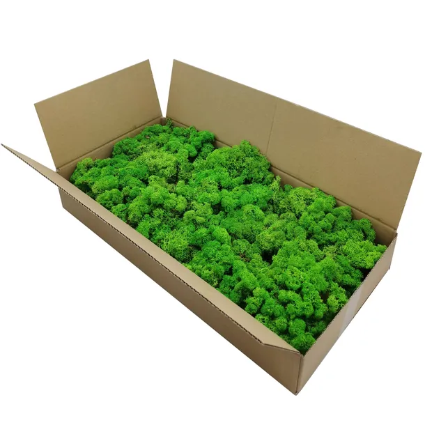 mech-chrobotek-norweski-500g-marka-bez-marki