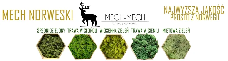 500g-mech-chrobotek-reniferowy-spring-stan-opakowania-oryginalne