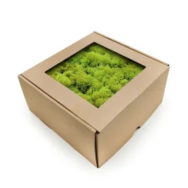 mech-chrobotek-reniferowy-norwegia-wiosenna-zielen-250g-netto