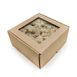 mech-chrobotek-reniferowy-norwegia-naturalny-bialy-250g-netto
