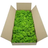 mech-chrobotek-finski-500g-stan-nowy
