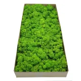 mech-chrobotek-finski-500g-marka-enchanted