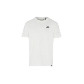 meska-koszulka-z-krotkim-rekawem-small-logo-t-shir