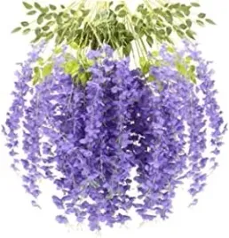 wisteria-glicynia-110-cm-12-szt-jasny-fiolet