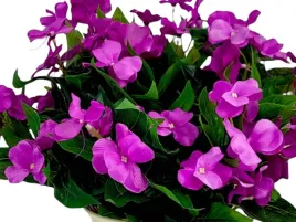 sztuczny-bratek-bratki-kwiaty-na-balkon-taras-pelargonia-pelargonie-38-cm
