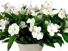 sztuczny-bratek-bratki-kwiaty-na-balkon-taras-pelargonia-pelargonie-38-cm