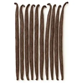 wanilia-laska-14-16-cm-x-10-sztuk-wanilia-bourbon-madagaskar-jakosc