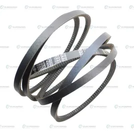 pas-uzebiony-ax113-13x2900-pasek-klinowy-wewnetrzna-2870-sit