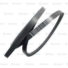 pas-uzebiony-cx114-22x2954-pasek-klinowy-wewnetrzna-2896-sit