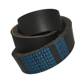 pas-pasek-wariatorowy-30x10-700-lp-dunlop