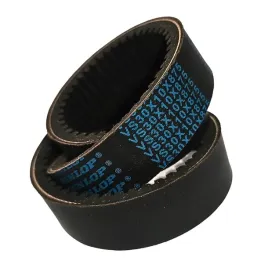 pas-pasek-wariatorowy-30x10-875-lp-dunlop