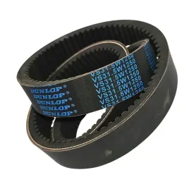 pas-pasek-wariatorowy-32x10-1200-lp-dunlop