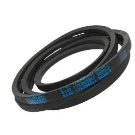 pas-pasek-klinowy-b140-17x3556-li-3600-blue-dunlop