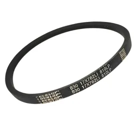 pas-pasek-klinowy-b30-17x762-li-810-white-dunlop