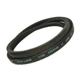 pas-pasek-klinowy-c100-22x2540-li-2600-blue-dunlop