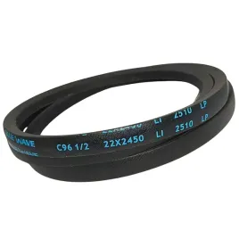 pas-pasek-klinowy-c965-22x2450-li-2510-blue-dunlop