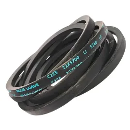 pas-pasek-klinowy-c225-22x5700-li-5760-blue-dunlop