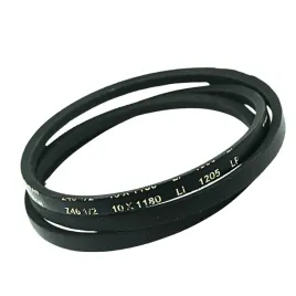 pas-pasek-wariatorowy-10x6-1205-lp-dunlop
