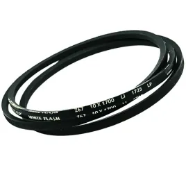 pas-pasek-wariatorowy-10x6-1725-lp-dunlop