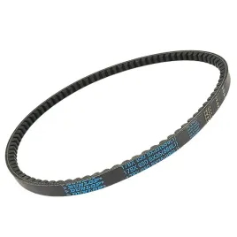pas-pasek-wariatorowy-17x11-930-lp-dunlop