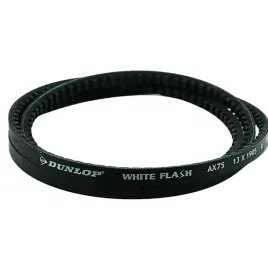pas-pasek-wariatorowy-13x8-1935-lp-dunlop