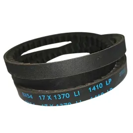 pas-pasek-wariatorowy-17x11-1394-lp-dunlop