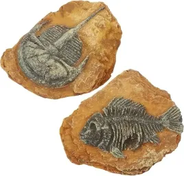 2x-atrapa-skamienialosci-dekoracjia-siedlisk-terrarium-realistyczny-wyglad