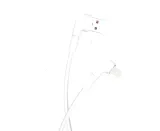 kabel-katowy-24a-maxlife-usb-apple-lightning-kod-producenta-kabel